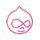 Drupal Development icon
